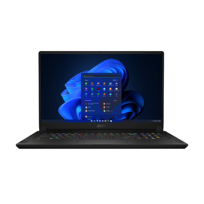 MSI Stealth 11UH-029 i7-11800H Notebook 43.9 cm (17.3") Full HD Intel Core i7 32 GB DDR4-SDRAM 1000 GB SSD NVIDIA GeForce RTX 3080 Wi-Fi 6E (802.11ax) Windows 10 Pro Black GS7611029 824142250495