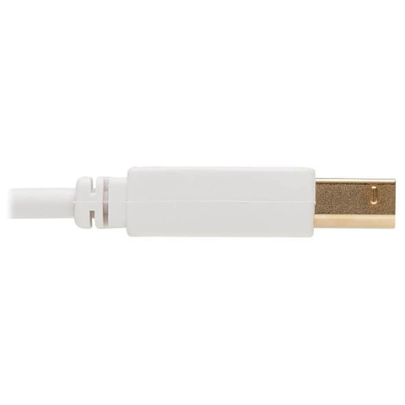 Tripp Lite U022AB-010-WH Safe-IT USB-A to USB-B Antibacterial Cable (M/M), USB 2.0, White, 10-ft. (3.05 m) U022AB-010-WH 037332260680