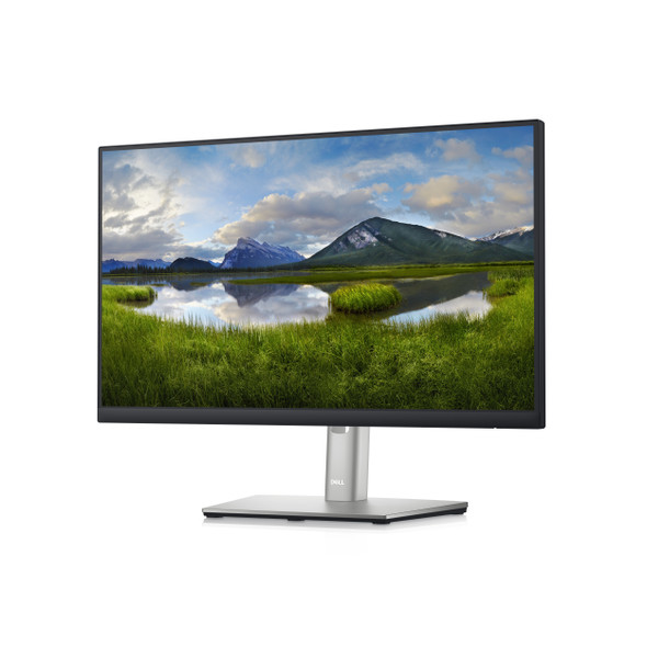 DELL P2222H computer monitor 54.6 cm (21.5") 1920 x 1080 pixels Full HD LCD Black, Silver DELL-P2222H 884116398004