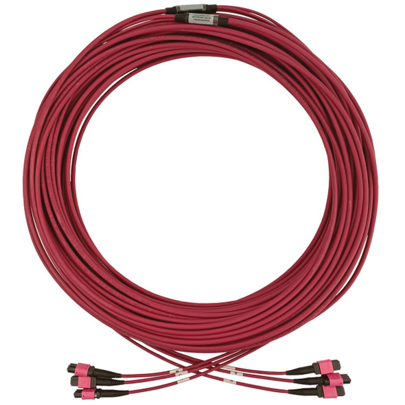 Tripp Lite N858B-45M-3X8MG 40/100/400G Multimode 50/125 OM4 Fiber Optic Cable (3x8F MTP/MPO-PC F/F), LSZH, Magenta, 45 m (147.6 ft.) N858B-45M-3X8MG 037332273000