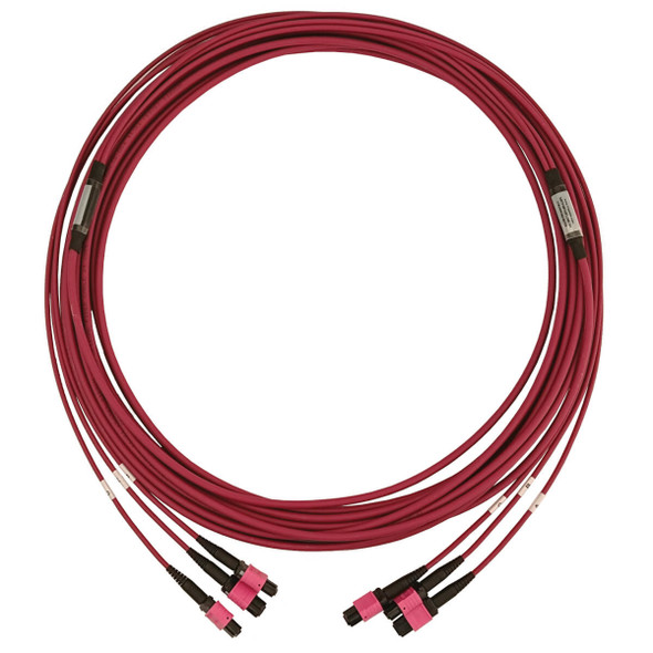 Tripp Lite N858B-10M-3X8MG 40/100/400G Multimode 50/125 OM4 Fiber Optic Cable (3x8F MTP/MPO-PC F/F), LSZH, Magenta, 10 m (32.8 ft.) N858B-10M-3X8MG 037332273178