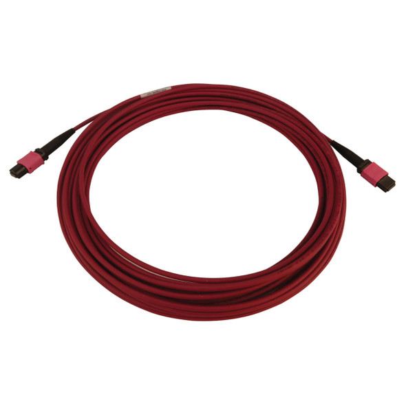Tripp Lite N845B-10M-12-MG 100G Multimode 50/125 OM4 Fiber Optic Cable (12F MTP/MPO-PC F/F), LSZH, Magenta, 10 m (32.8 ft.) N845B-10M-12-MG 037332272270