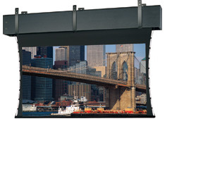 Da-Lite Tensioned Professional Electrol projection screen 7.57 m (298") 16:9 35282 717068006614