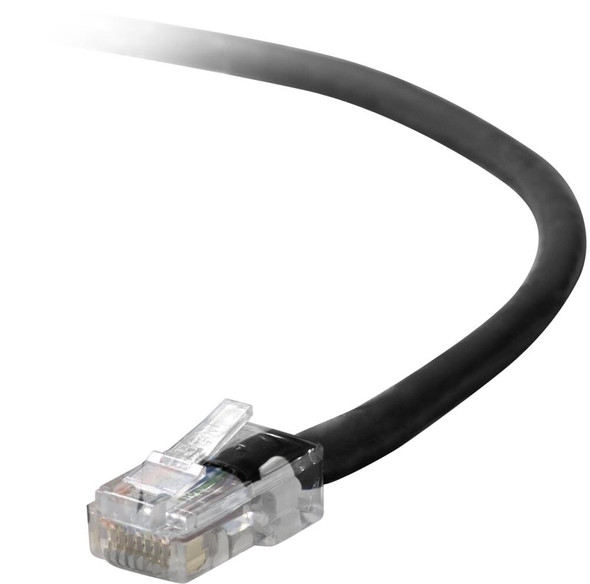 Belkin Cat5e, 50ft, 1 x RJ-45, 1 x RJ-45, Black networking cable 15.24 m 722868124741