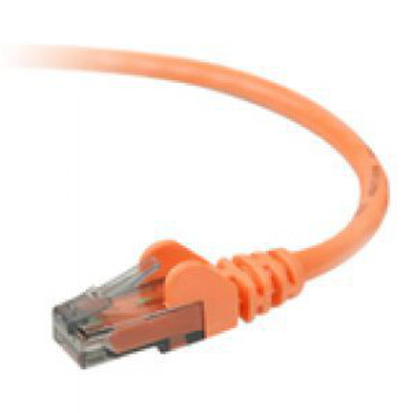 Belkin 1.52 m. Cat6 900 UTP networking cable Orange 722868673911