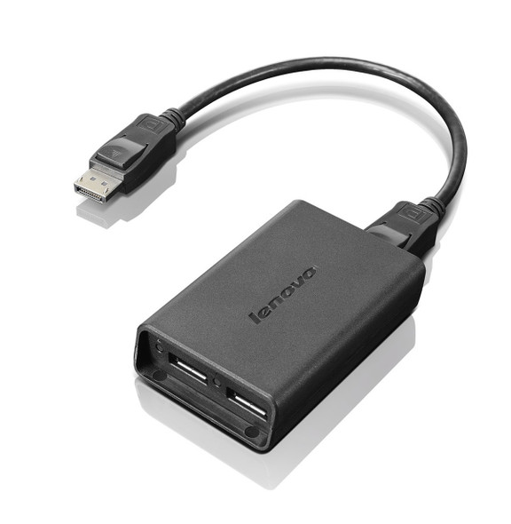 Lenovo DisplayPort to Dual-DisplayPort Monitor Cable USB cable USB A Black 887037444706