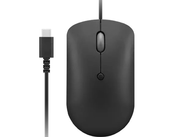 Lenovo GY51D20875 mouse Ambidextrous USB Type-C Optical 2400 DPI