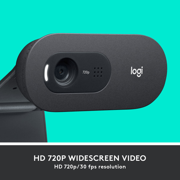 Logitech C505 webcam 1280 x 720 pixels USB Black 111037