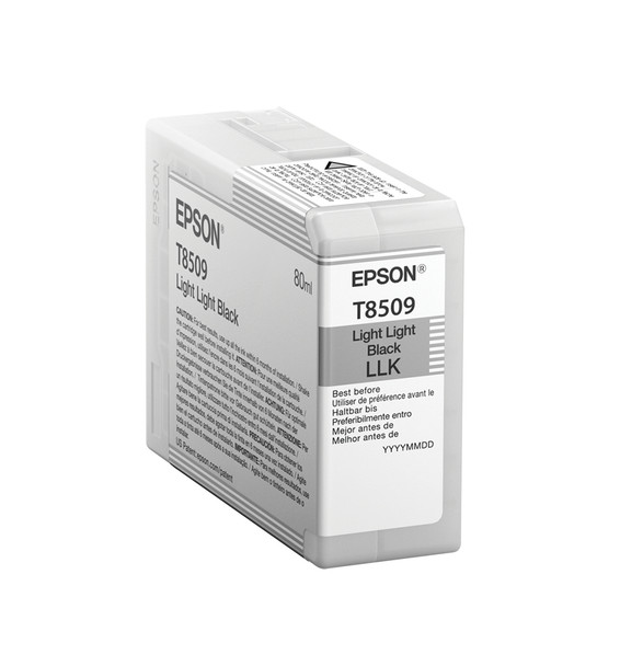 Epson Singlepack Light Light Black T850900 116774