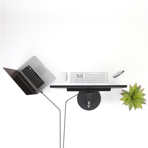 StarTech.com 6 ft Mini DisplayPort to DisplayPort 1.2 Adapter Cable M/M - DisplayPort 4k MDP2DPMM6