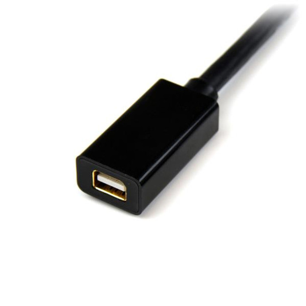 StarTech.com Mini DisplayPort Extension Cable M/F - 6 ft. - 4k MDPEXT6