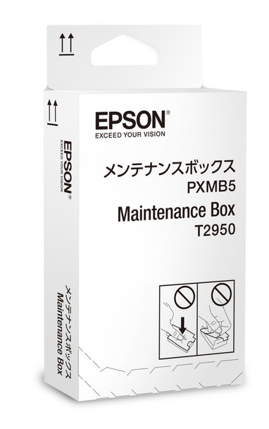 Epson WorkForce WF-100W Maintenance Box T295000
