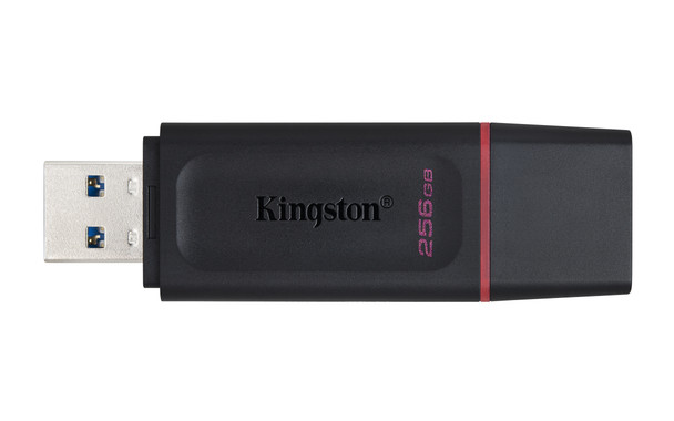 KINGSTON TECHNOLOGY 256GB USB3.2 Gen1 DataTraveler Exodia (Black + Pink) DTX/256GB 740617310023