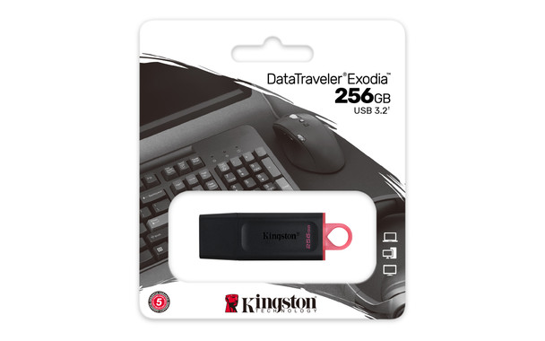 KINGSTON TECHNOLOGY 256GB USB3.2 Gen1 DataTraveler Exodia (Black + Pink) DTX/256GB 740617310023