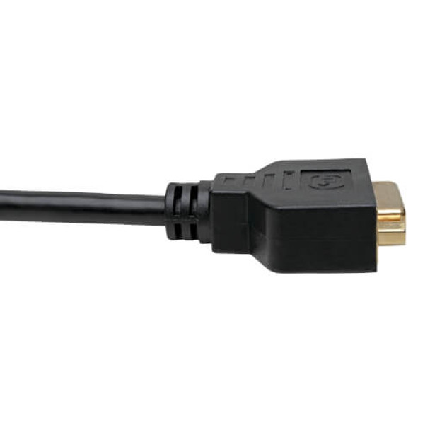 Tripp Lite P134-001-GC DisplayPort to DVI Adapter Video Converter, Black (M/F), 1 ft. (0.31 m) P134-001-GC 037332238047