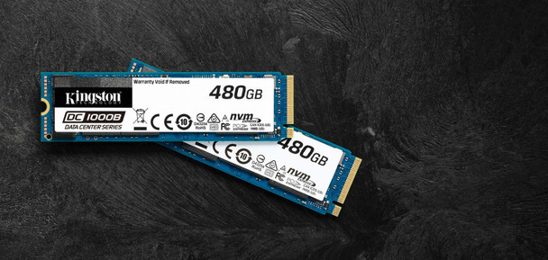 Kingston Technology 480G DC1000B M.2 2280 ENT NVME SSD SEDC1000BM8/480G 740617303612