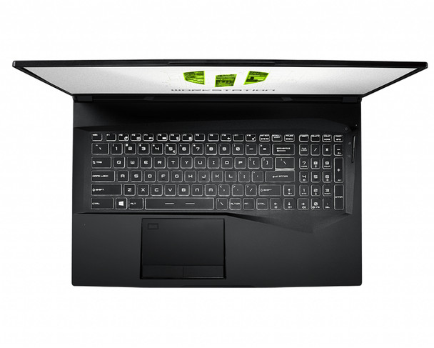 MSI NB WE75 9TJ-011CA 17.3 Ci7-9750H T2000 32GB 512GB+1TB W10P Retail