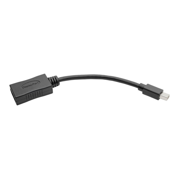 Tripp-Lite AC P139-06N-DP4K6B Mini DisplayPort to DisplayPort Adapter Keyspan