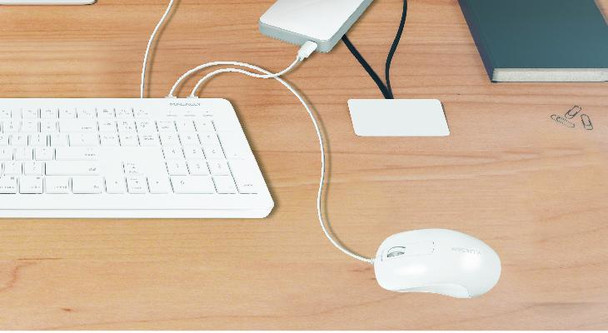 Macally ICEMOUSE3 mouse Ambidextrous USB Type-A Optical 1000 DPI ICEMOUSE3 701107496764