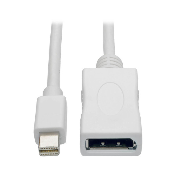 Tripp Lite P139-006-DP-V2B Keyspan Mini DisplayPort to DisplayPort Adapter Cable (M/F), 4K 60 Hz, DP 1.2, HDCP 2.2, 6 ft. (1.8 m) P139-006-DP-V2B 037332201775