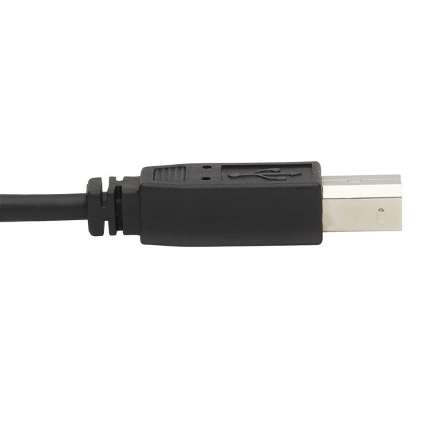 Tripp Lite DVI KVM Cable Kit - DVI, USB, 3.5 mm Audio (3xM/3xM) + USB (M/M) + DVI (M/M), 6 ft. (1.83 m) P784-006-DVU 037332242341