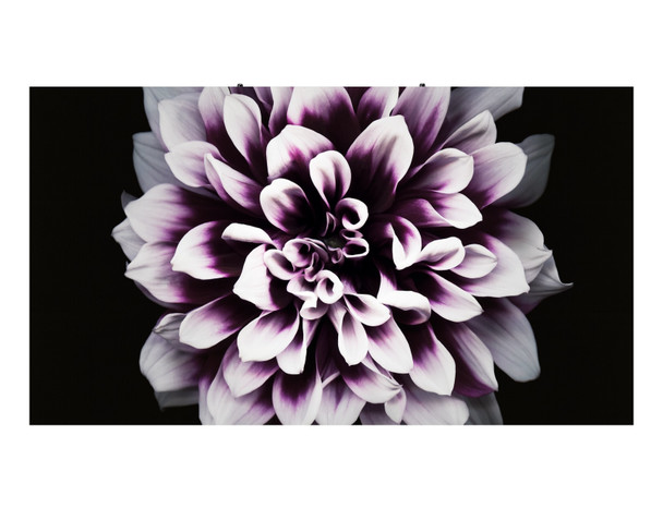 Samsung LH008IWJMWS/XU Signage Display Digital signage flat panel 500 cd/m² 4K Ultra HD Black Tizen LH008IWJMWS/XU 887276460932