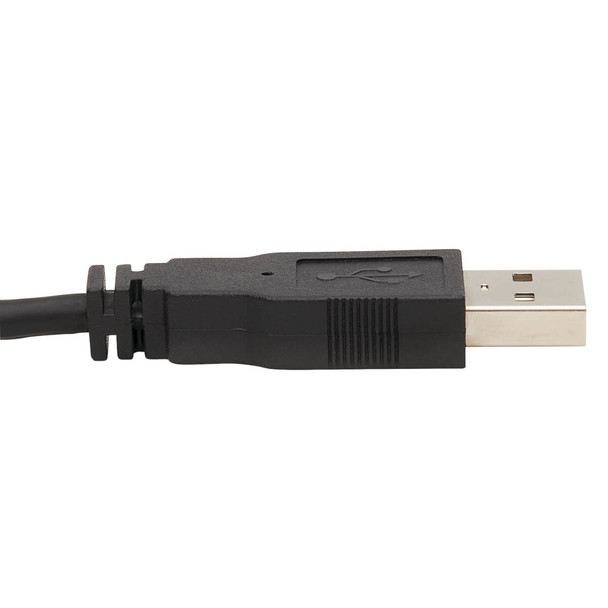 Tripp Lite Dual DVI KVM Cable Kit - DVI, USB, 3.5 mm Audio (3xM/3xM) + DVI (M/M), 10 ft. (3.05 m) P784-010-DV 037332242334