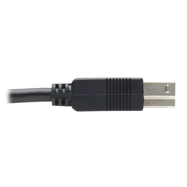 Tripp Lite U328F-20M USB 3.2 Gen 1 Plenum-Rated Fiber Active Optical Cable (AOC) - A/B M/M, Black, 20 m U328F-20M 037332260277