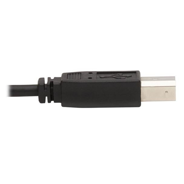 Tripp Lite DVI KVM Cable Kit - DVI, USB, 3.5 mm Audio (3xM/3xM) + USB (M/M), 1080p, 10 ft. (3.05 m) P784-010-U 037332243805