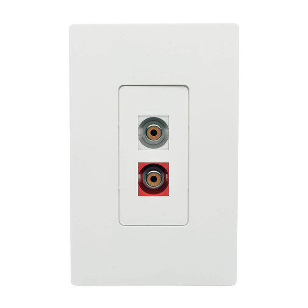 Tripp Lite A050-000-ST-KJ RCA Female Audio to Screw Terminal Keystone Jack Kit, Red/White A050-000-ST-KJ 037332199379