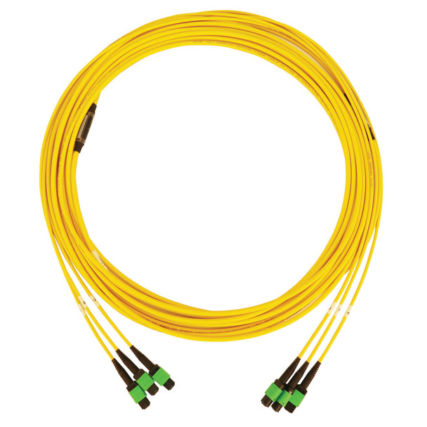 Tripp Lite N392B-10M-3X8AP 40/100G Singlemode 9/125 OS2 Fiber Optic Cable (3x8F MTP/MPO-APC F/F), LSZH, Yellow, 10 m (32.8 ft.) N392B-10M-3X8AP 037332272171