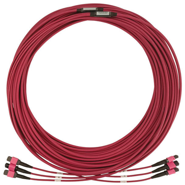 Tripp Lite N858B-30M-3X8MG 40/100/400G Multimode 50/125 OM4 Fiber Optic Cable (3x8F MTP/MPO-PC F/F), LSZH, Magenta, 30 m (98.4 ft.) N858B-30M-3X8MG 037332272980