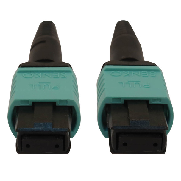 Tripp Lite N844B-05M-12-P 40/100/400G Multimode 50/125 OM3 Fiber Optic Cable (12F MTP/MPO-PC F/F), LSZH, Aqua, 5 m (16.4 ft.) N844B-05M-12-P 037332272898