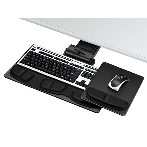 Fellowes Professional Platform 8036101 043859504534