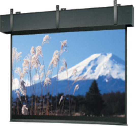 Da-Lite Professional Electrol projection screen 7.49 m (295") 4:3 38697 717068642362