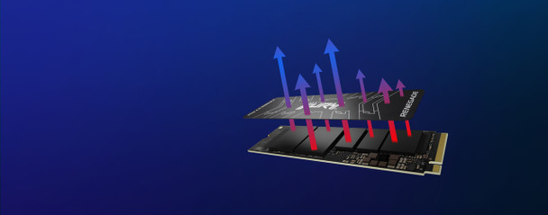 Kingston SSD SFYRS 500G 500G Kingston FURY Renegade PCIe4.0 NVMe M.2 SSD