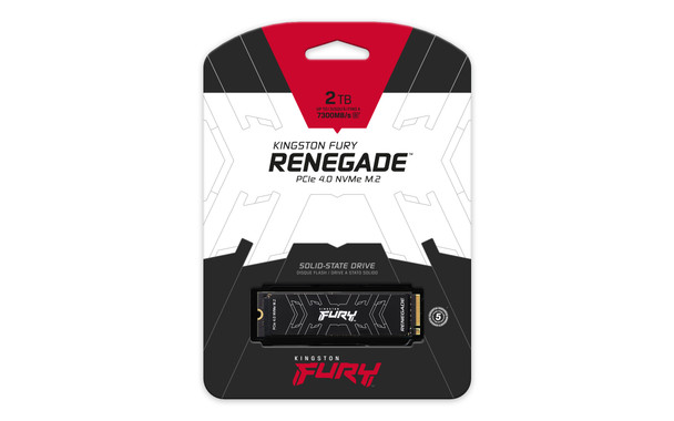 Kingston Technology 2000G FURY RENEGADE M.2 2280 NVMe SSD 740617324464