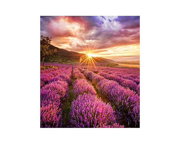 Samsung LH025IFHBAS/ZA video wall display LED Indoor 887276282480