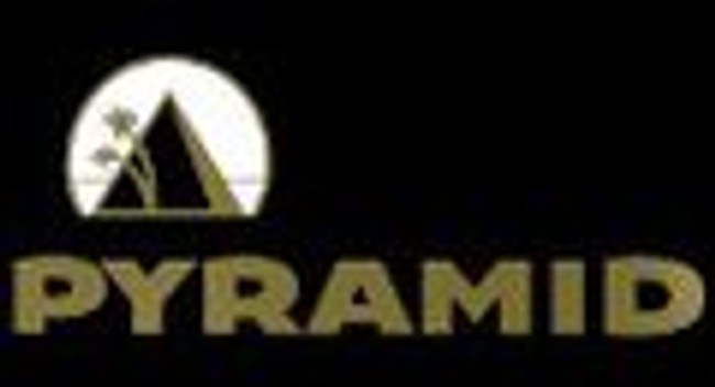 Pyramid Baritone Guitar Strings