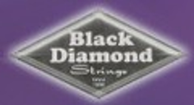 Black Diamond Twelve (12) String Guitar Strings