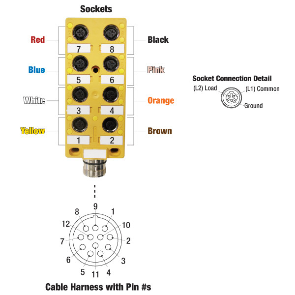 Junction Module 12 Pin Cable Box 8-Port Connection Junction Point, 12 Pin, 10 Conductors | Sonny's