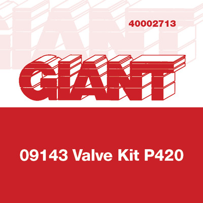 Valve Kit for Giant Pumps P420, P420-0011, P420-0021, P422, P423 and P425 Plunger Pumps