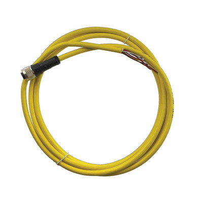 M12 Cable Female 8Pin x 6' Flying Leads, Yellow, 3002929