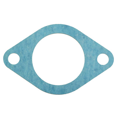 Pump Flange Kit Gasket, 40GPM, 1002748