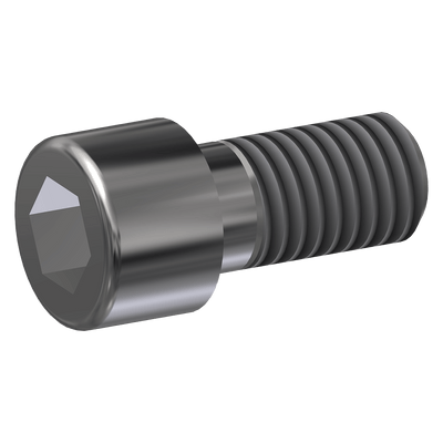 Bolt, M8-1.25x20 Socket, Stainless Steel