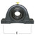 Pillow Block Bearing, 2-Bolt, 1-1/2in Shaft Dia. SealMaster SM-NP24C