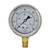 Liquid Filled Pressure Gauge, 1/4in Bottom Mount, 0-600PSI, 2-1/2in Dia. Face