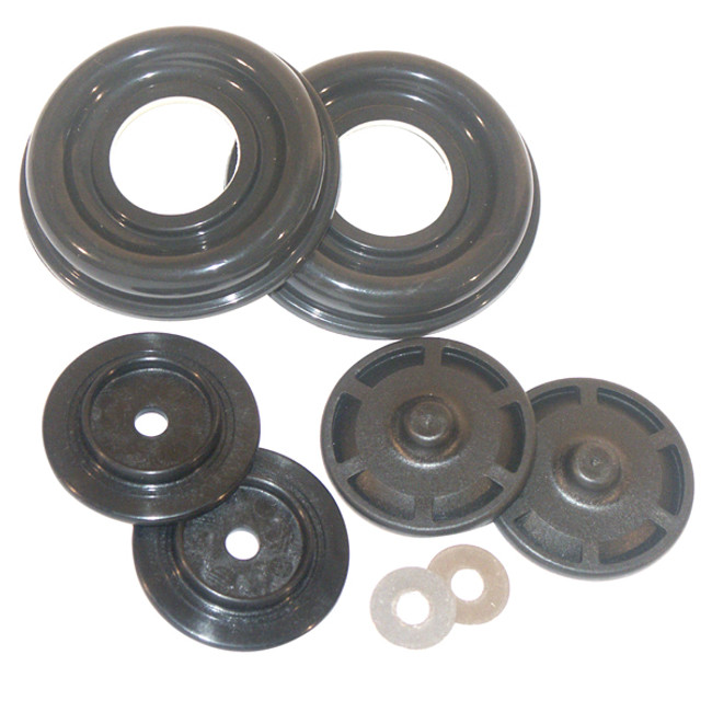 Diaphragm Repair Kit, G57 Viton, Flojet 21000-209