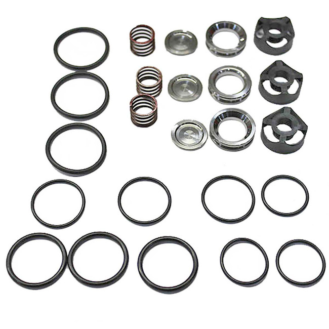 Valve Kit for Giant Pumps CP53/CP53W Pumps, 9041