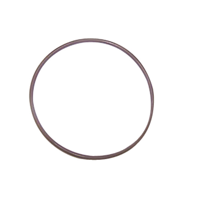 Tank/Cap O-Ring Gasket